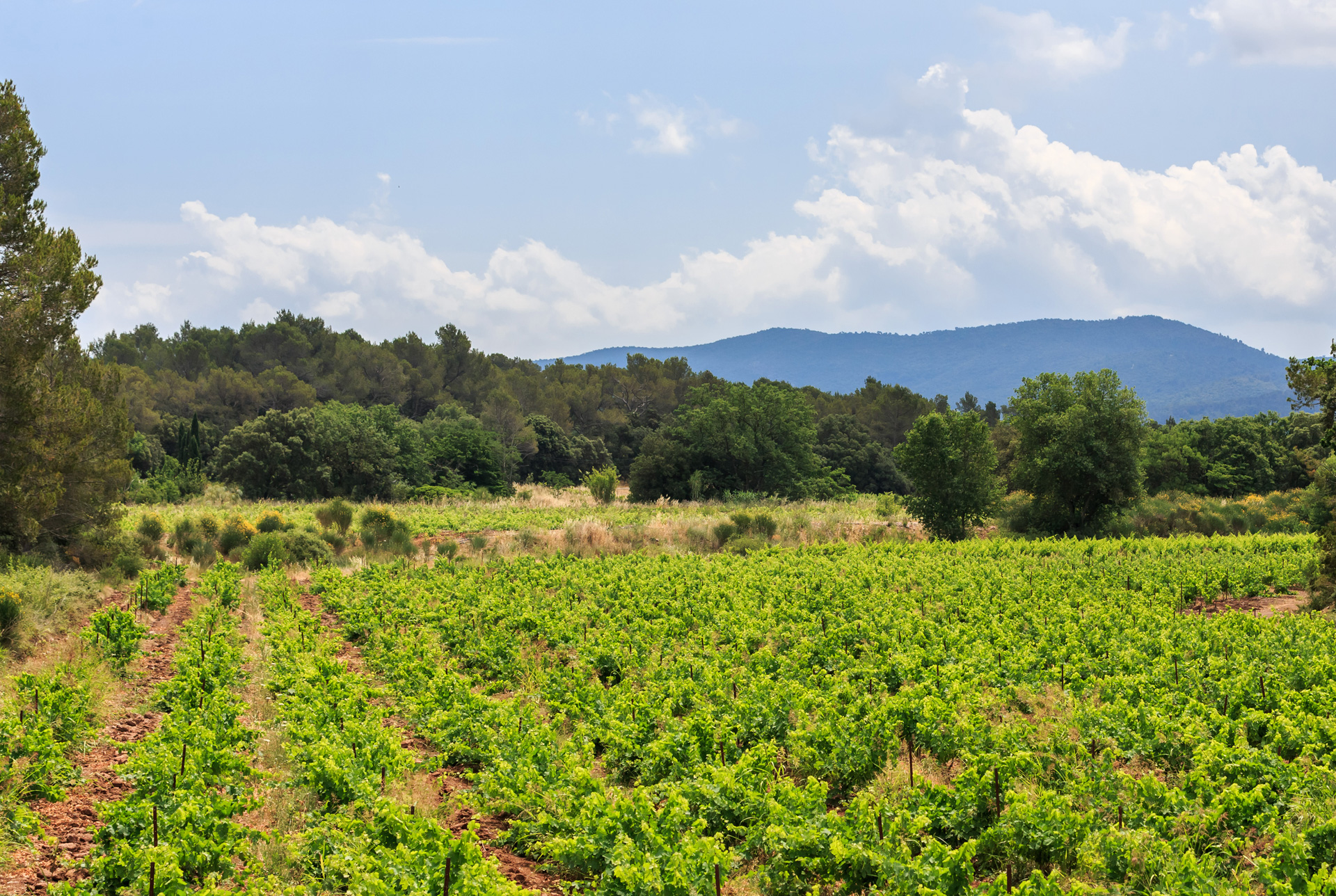 Agence immobilire Le Beausset et Ouest-Var - Miralles Immo